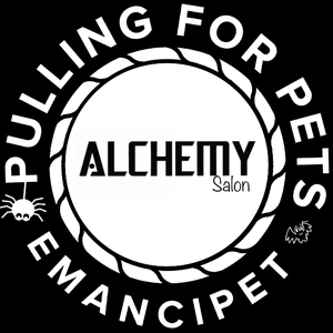 Fundraising Page: Toni Mascione